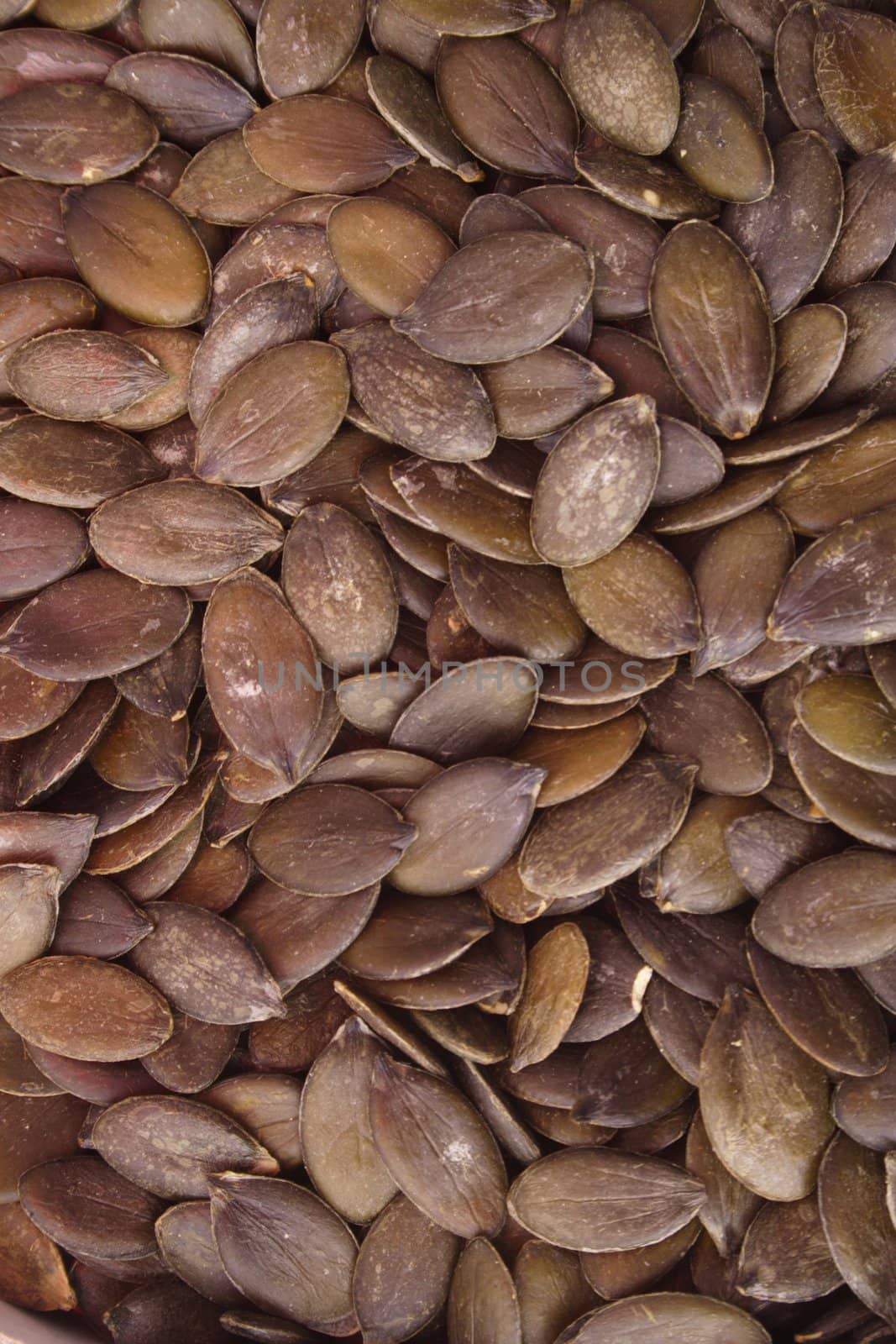 A lot of dried sunflower seeds. Useful as background.