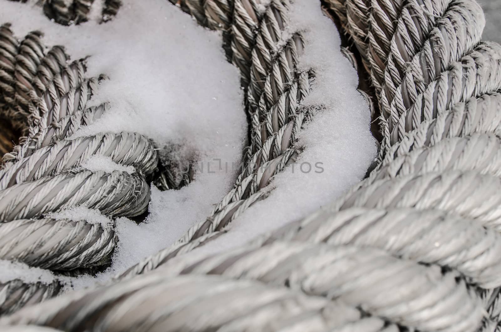 Wound up rope in the harbor