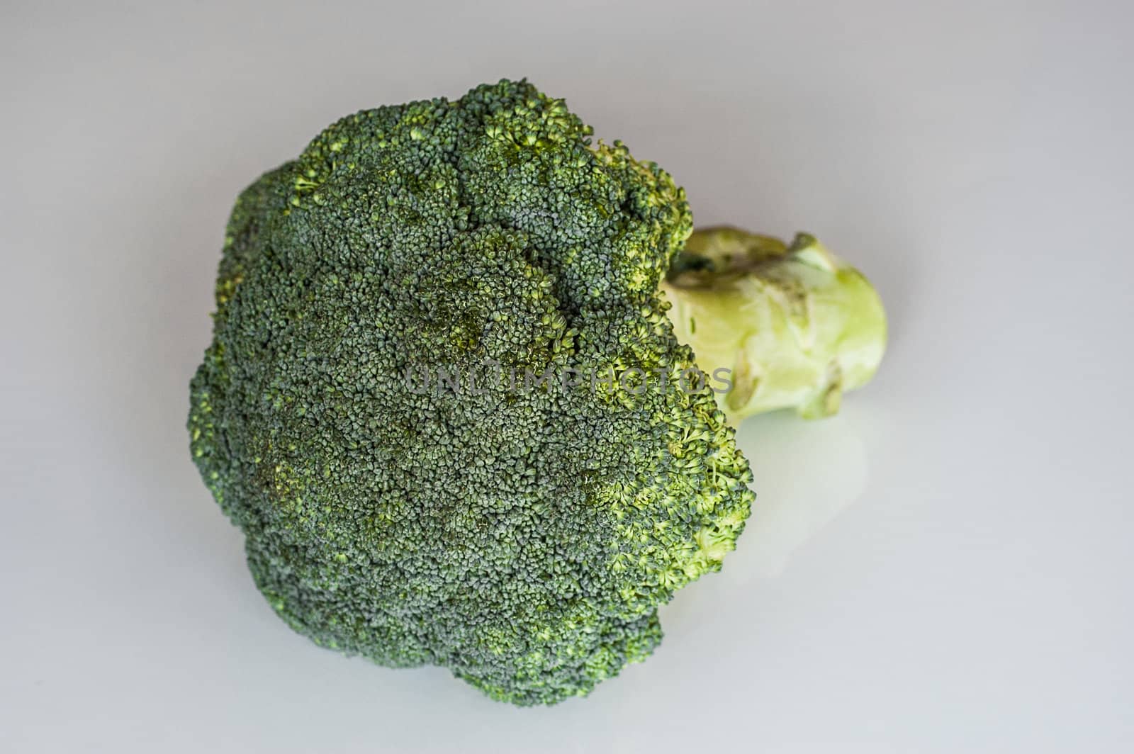 Broccoli