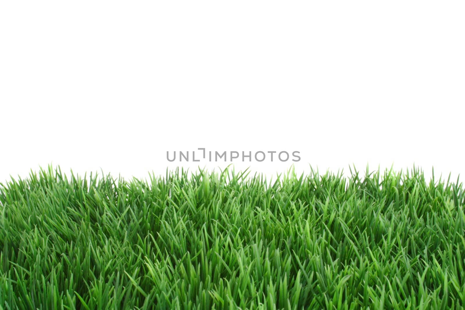 A fine green meadow. All on white background.