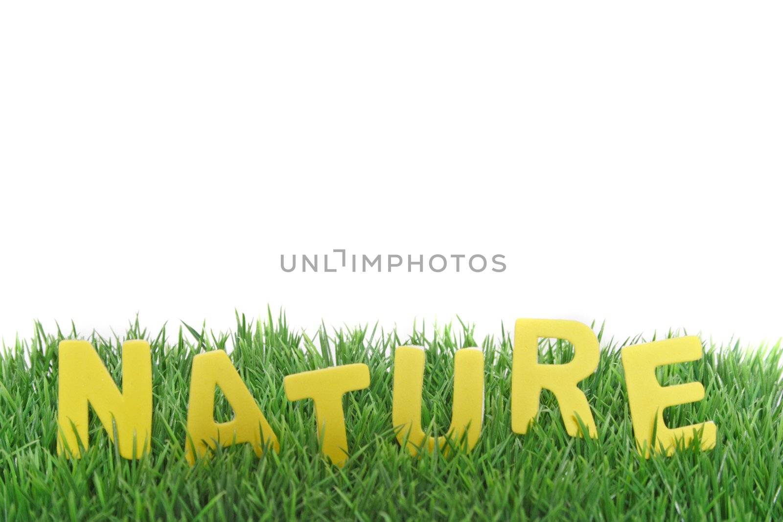 The word nature out of yellow letters in a green meadow. All on white background.