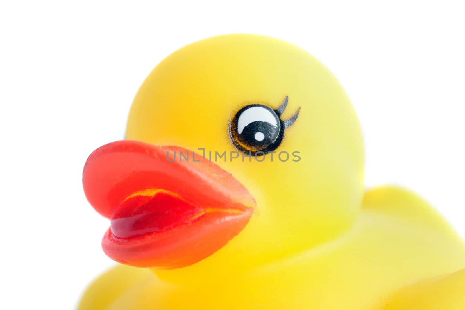 A closeup of a rubber duck. All in front of a white background.