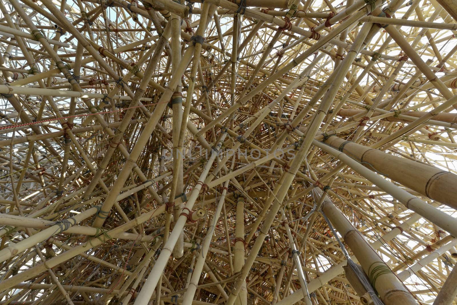 interweaving of bamboo canes by lillo