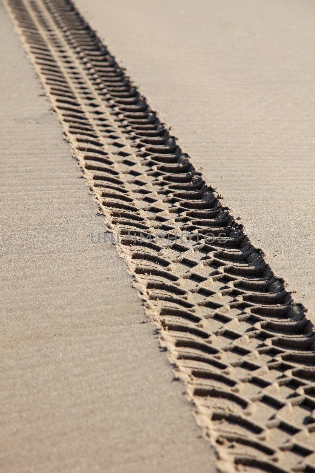 Vehicle tracks on a beach damaging the environment.