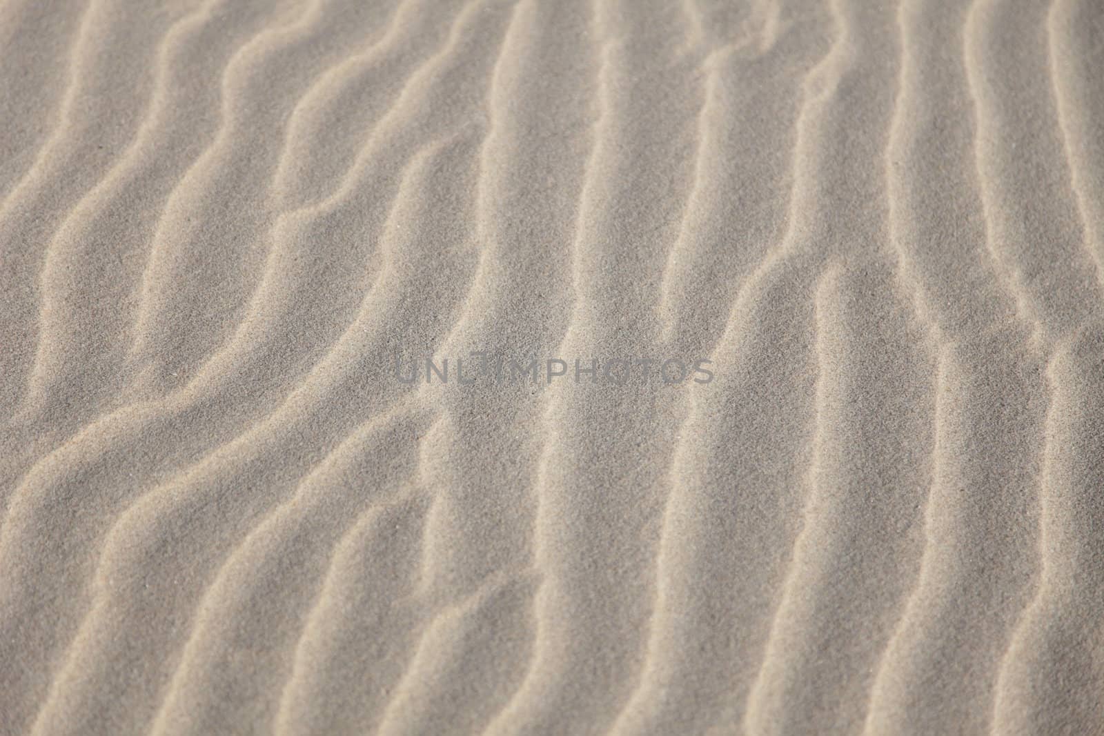 Typical sand texture on the beach or desert.