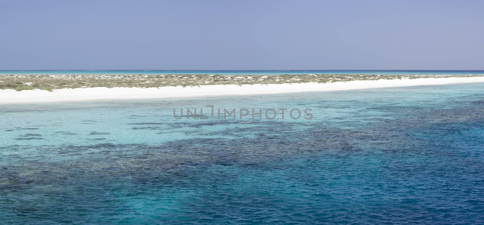 A tropical beach ocean side