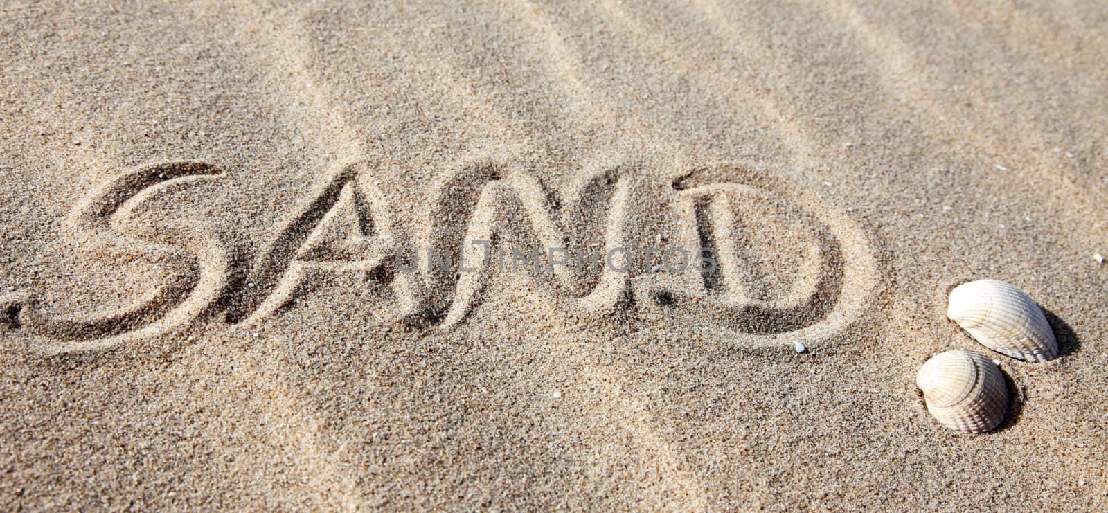 Sand written on the beach by kaarsten