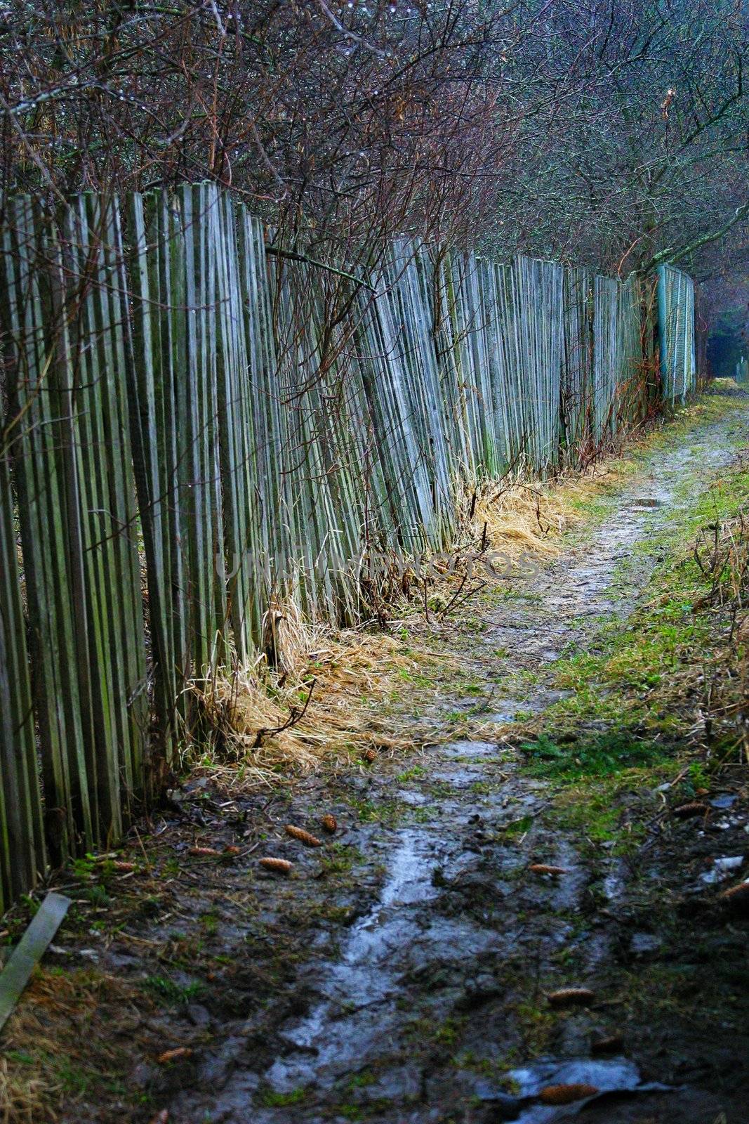 Illustration of a Wet path about a fence