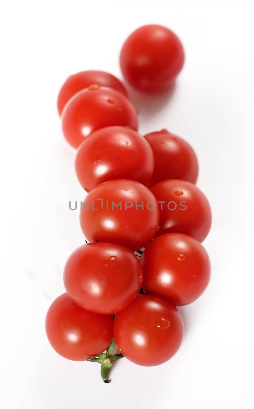 fresh cherry tomato