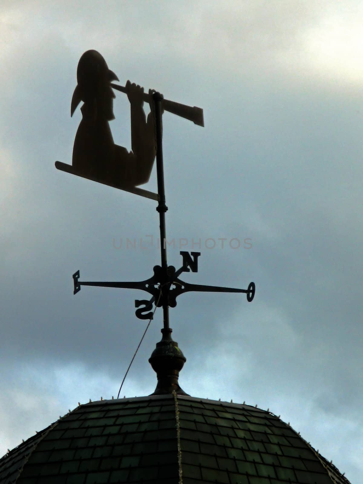 A weather vane with person looking through a telescope.