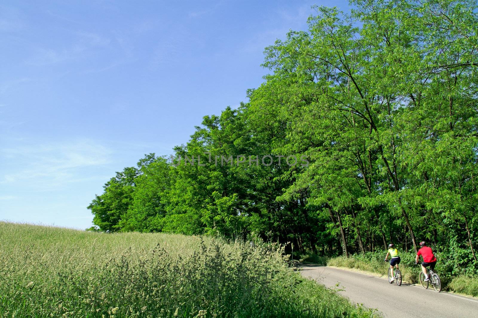 Two cyclists in the countryside