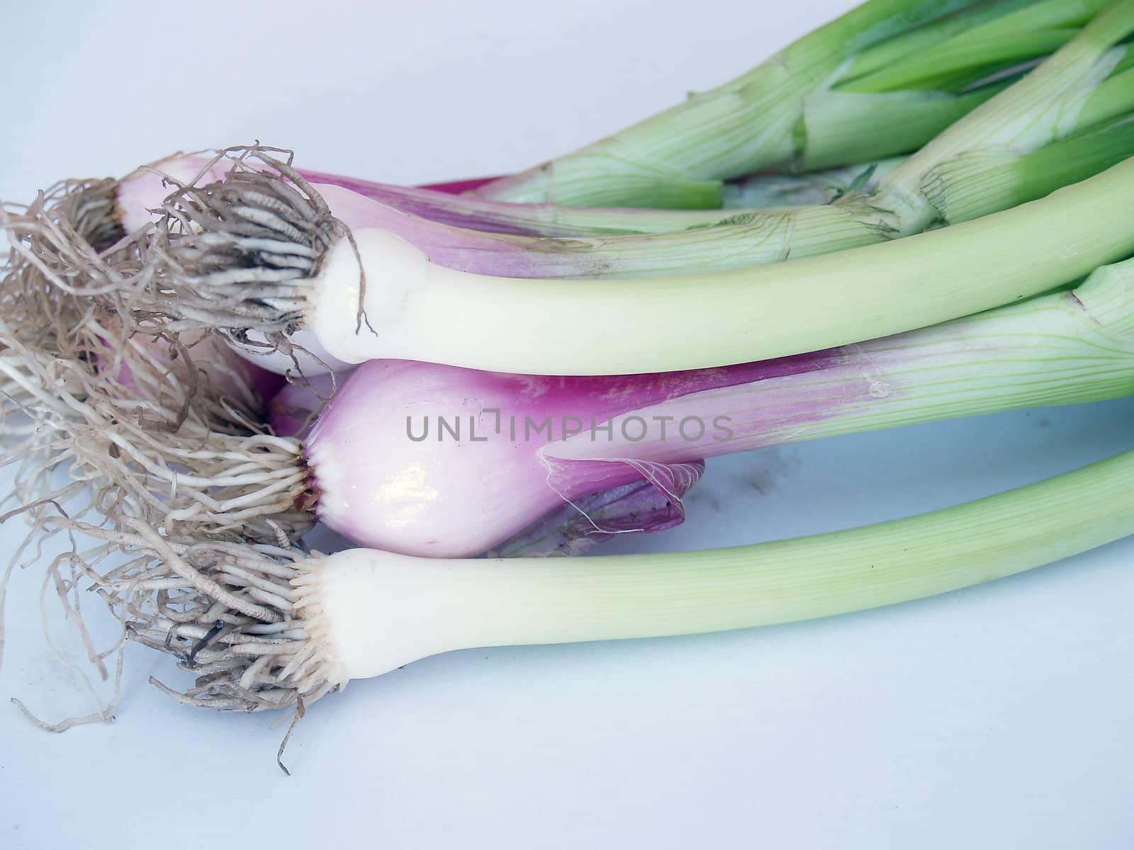 onions    