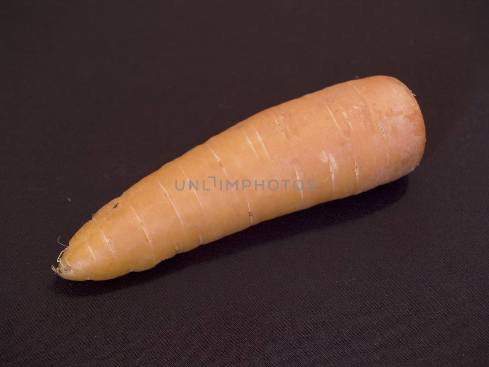 carrot by lauria
