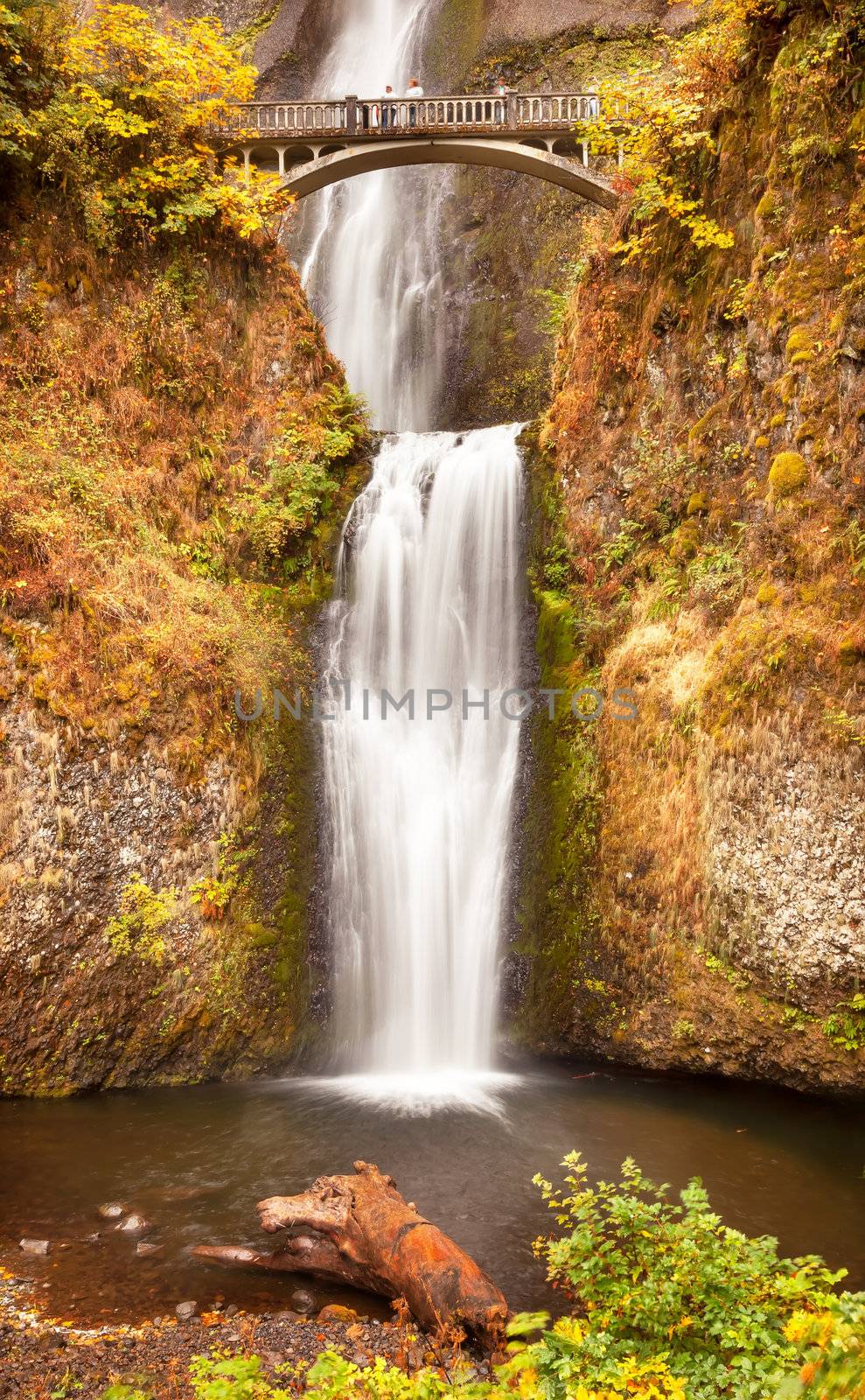 Multnomah Falls Waterfall Autumn, Fall Bridge Columbia River Gorge, Oregon, Pacific Northwest