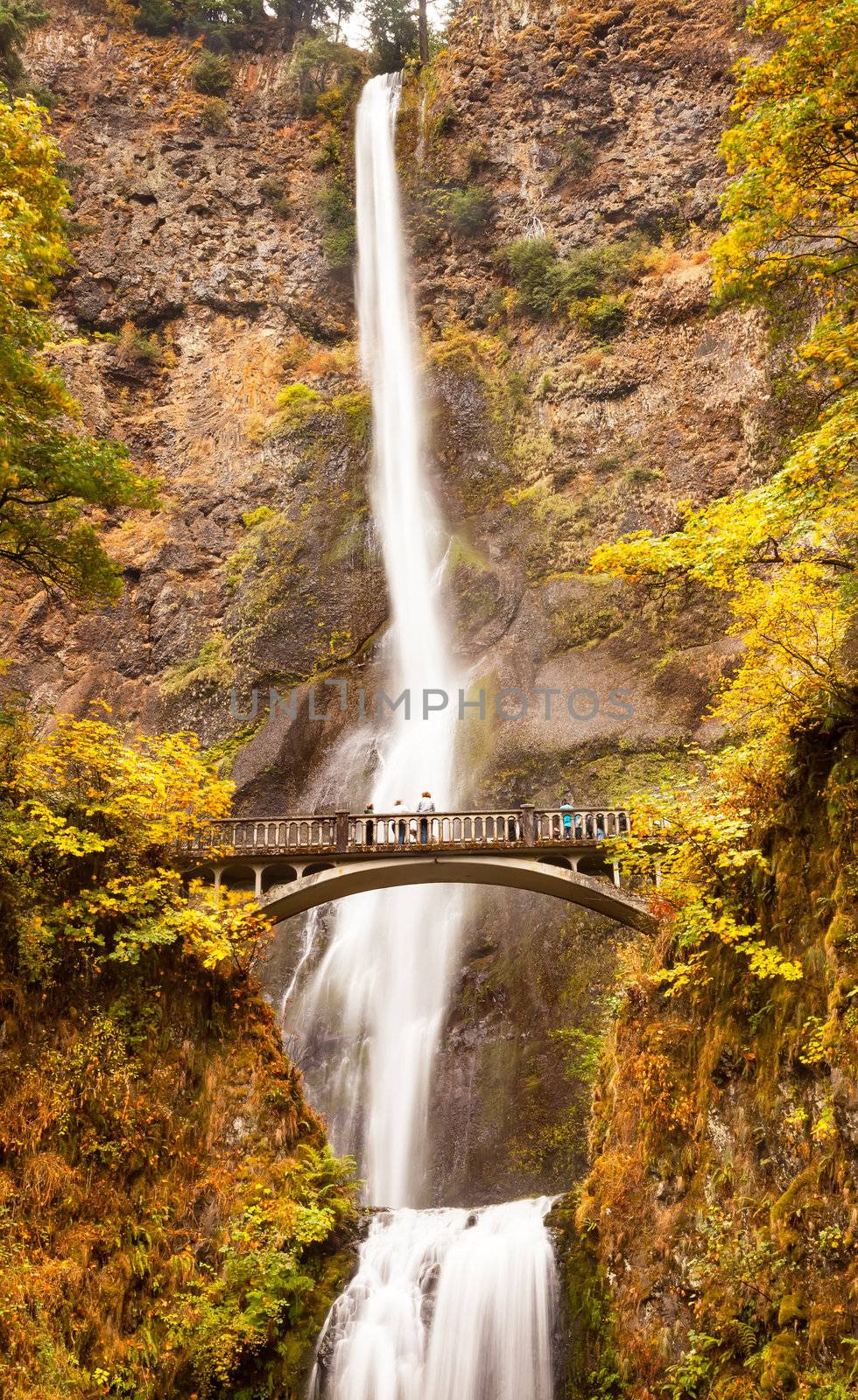 Multnomah Falls Waterfall Columbia River Gorge, Oregon by bill_perry