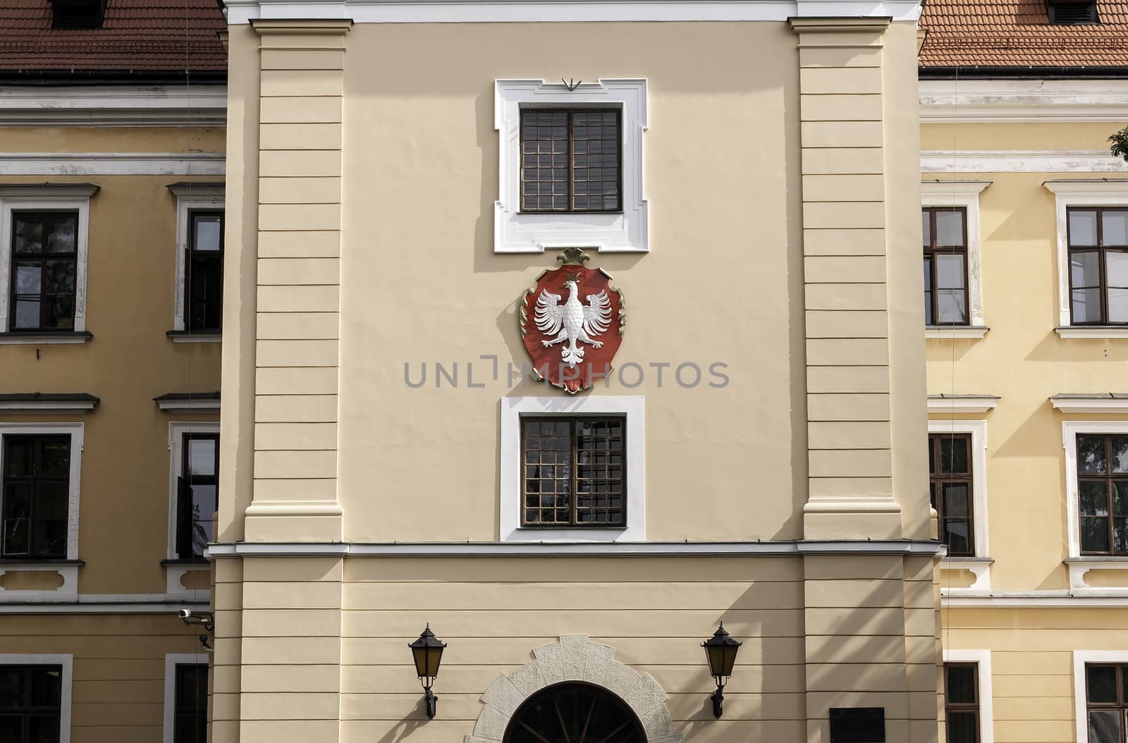 Coat of arms. Polish eagle. by FER737NG