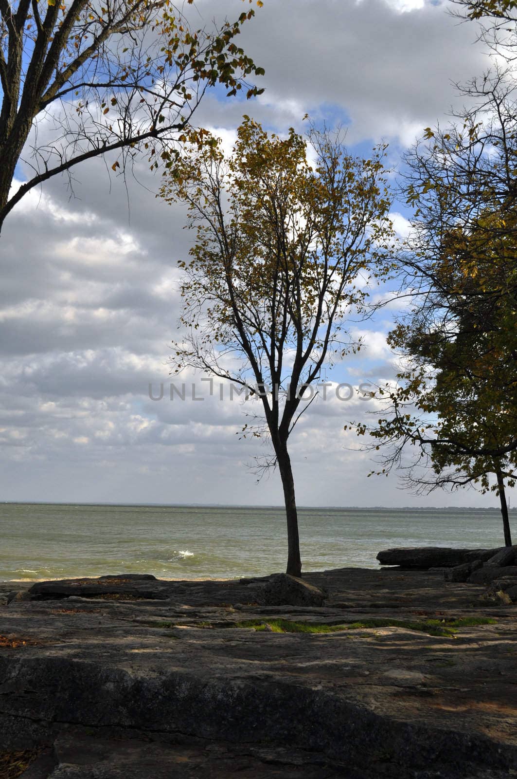 Rocks trees and water background by RefocusPhoto