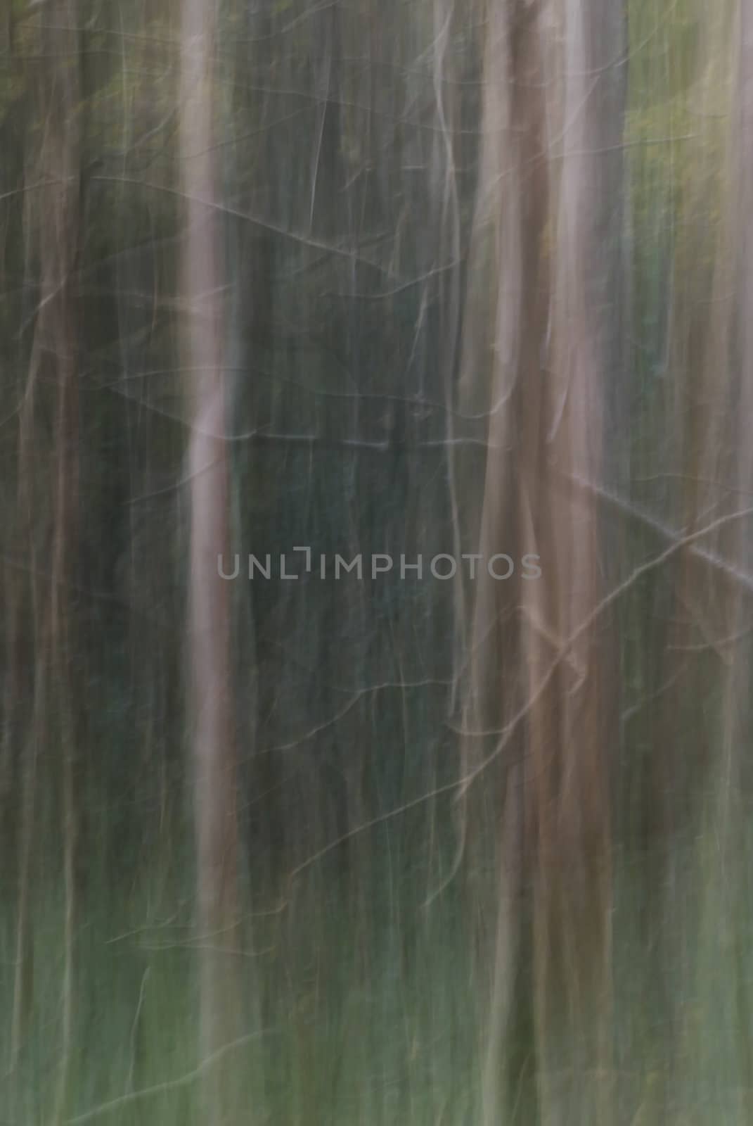 Photographic texture created with motion blur in vertical plane.