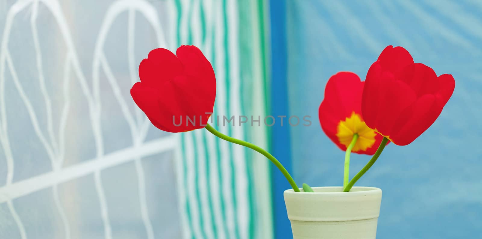 red tulips in a vase by jannyjus