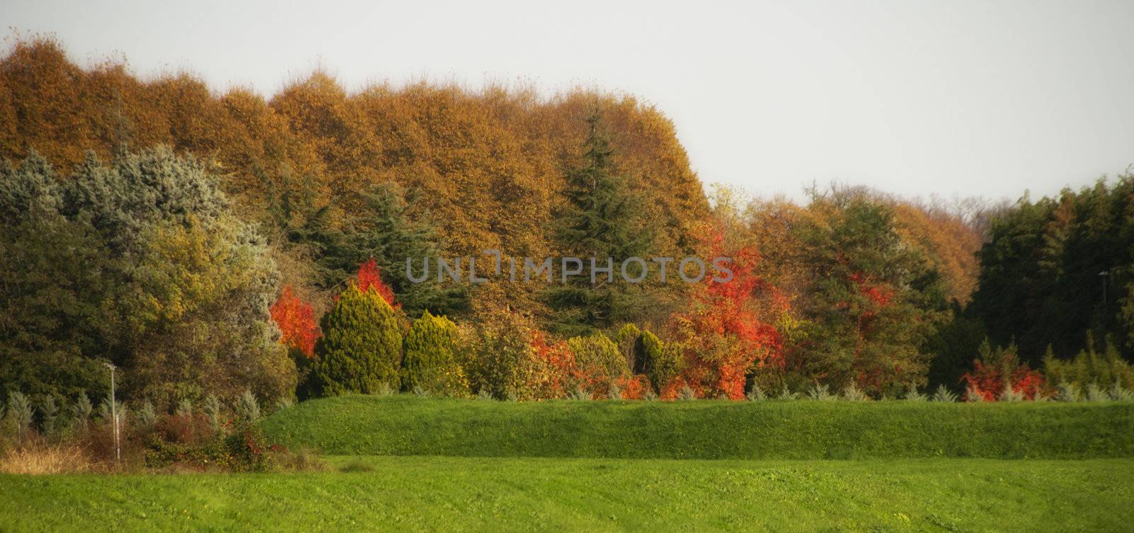 Autumn Colors in Lucca by jovannig