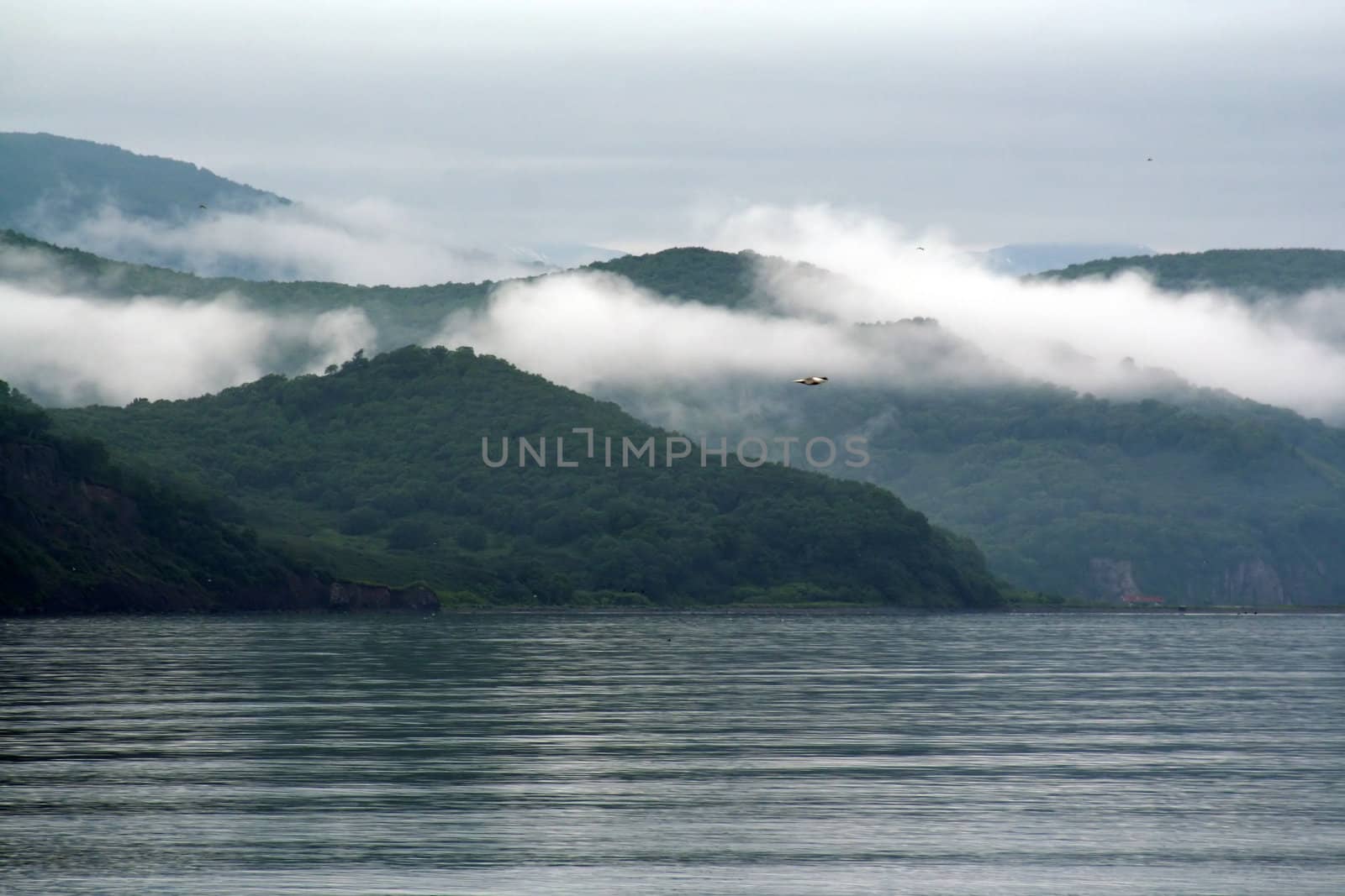 The ocean bay of Kamchatka.