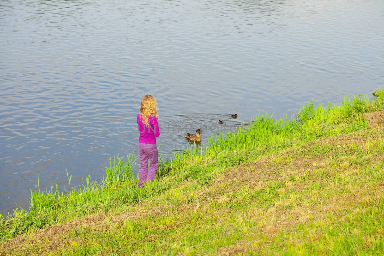 girl looking at the ducks with ducklings