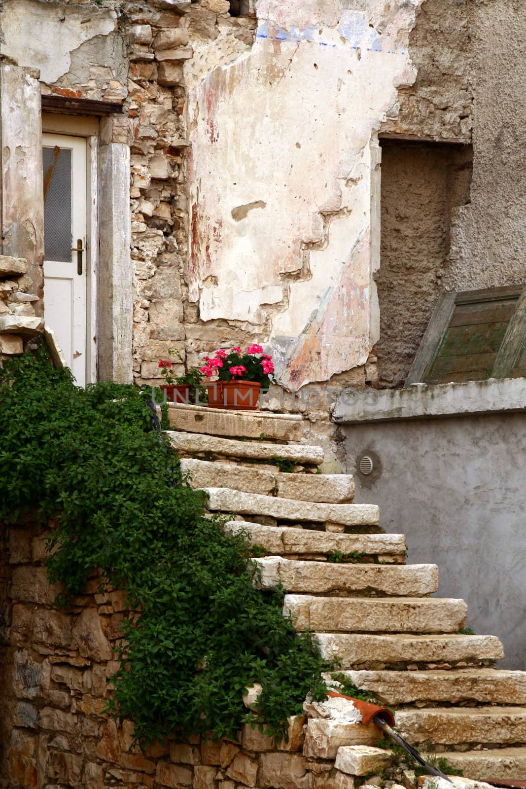 Old house in Town Fazhana. Croatia. Europe