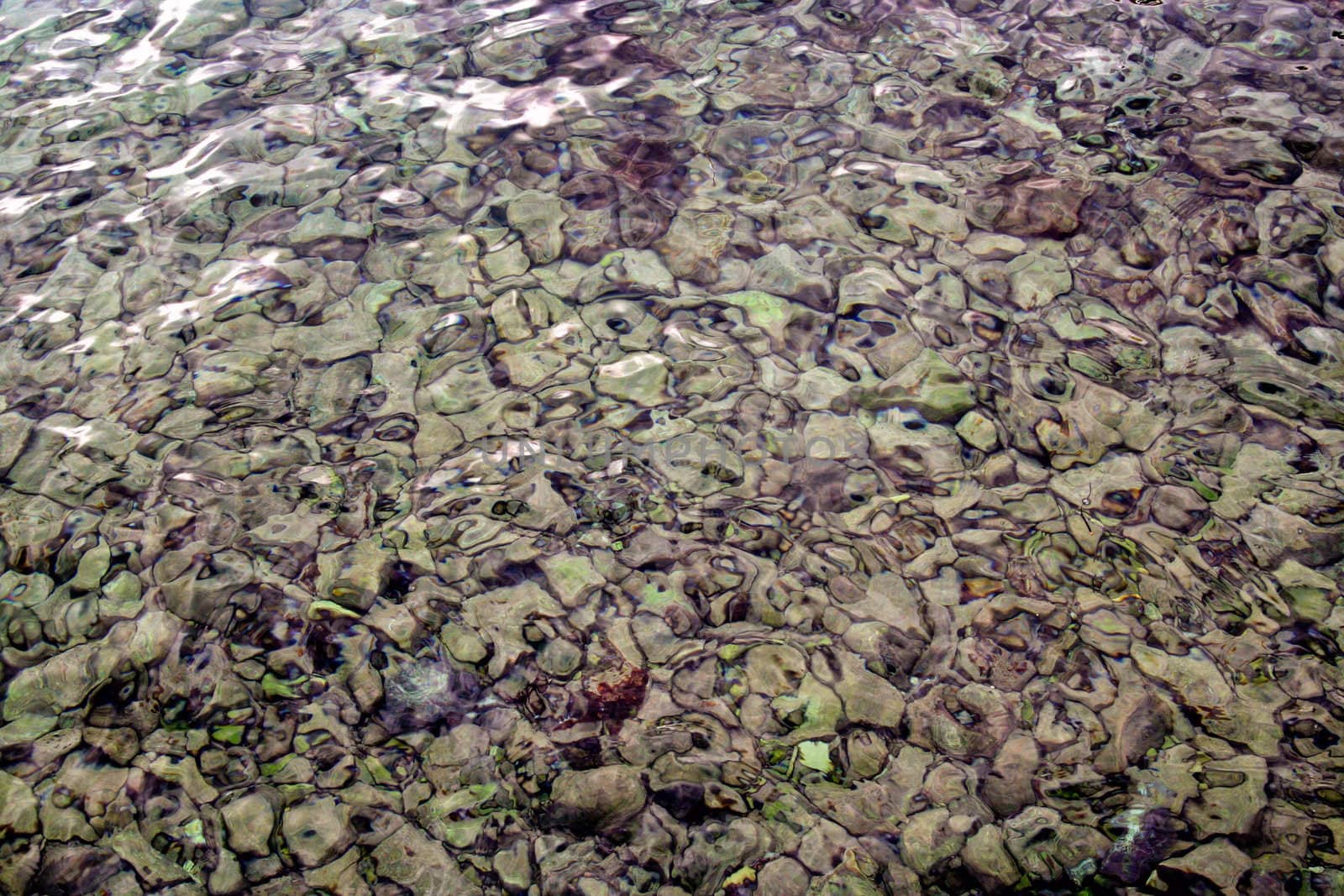 Stony bottom of the clear sea.