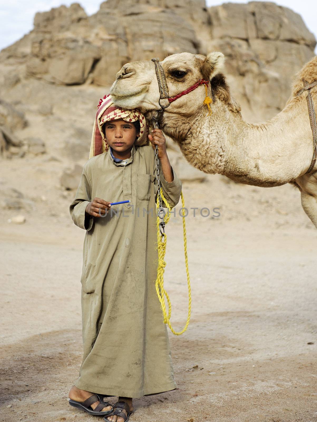 HURGHADA - JAN 30: Bedouin boy pulling a camel in Sahara desert.Jan 30,2013 in Hurghada,Egypt.
