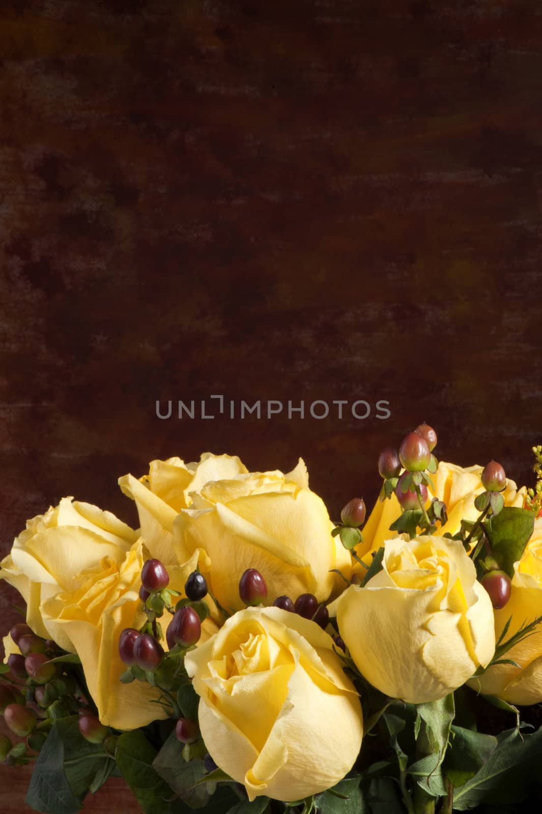 Composition of flowers on a white background
