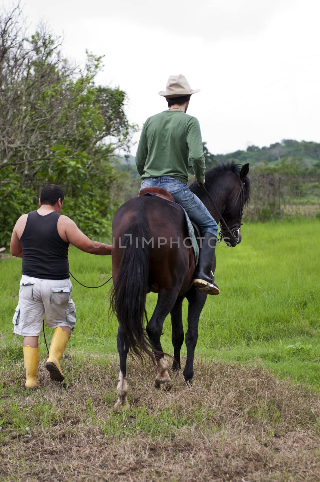 Horses and riders on a farm in Ecuador