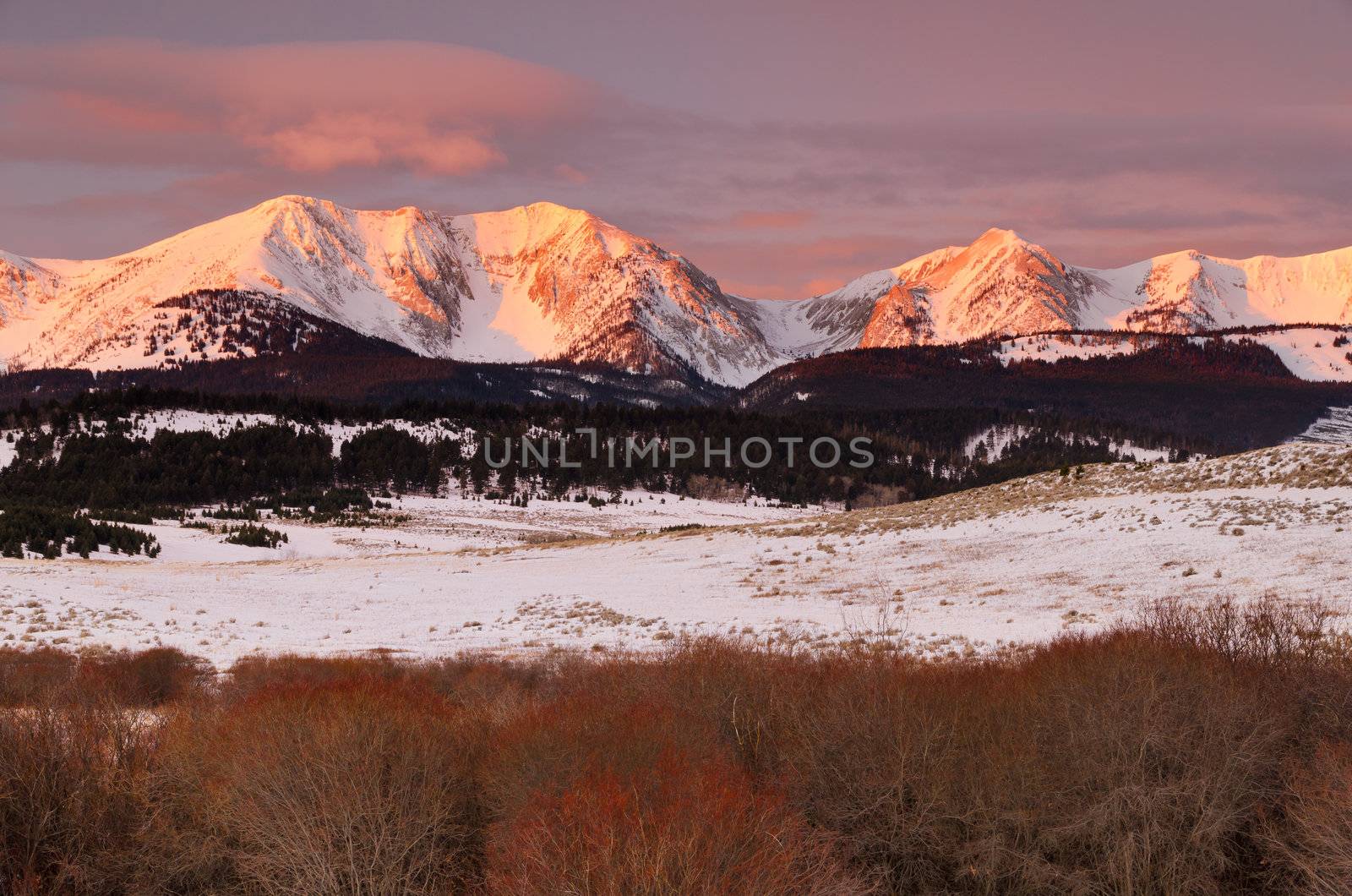 First light on the Bridger Mountains in winter, Gallatin County, Montana, USA by CharlesBolin