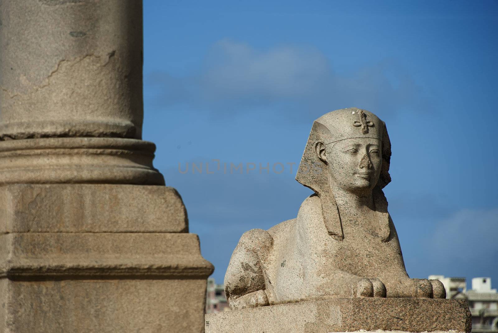 sphinx of Pompey's Pillar area in Alexandria by jackq