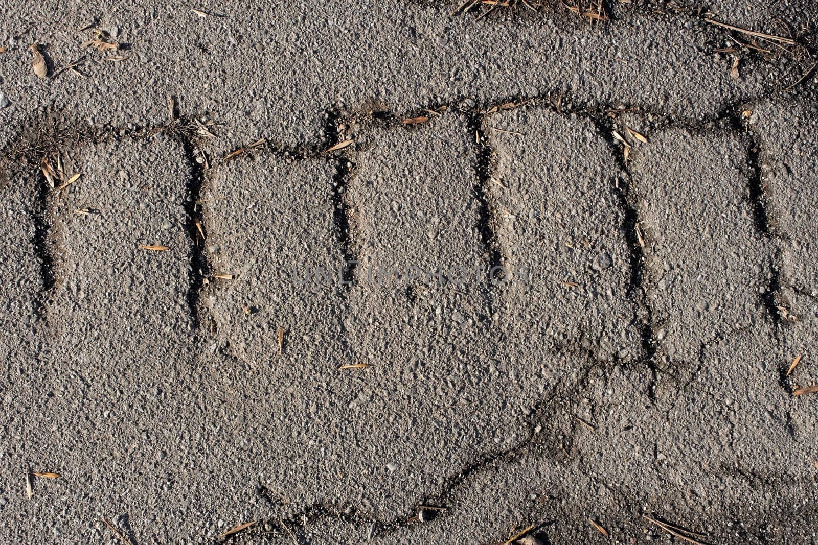 Old cracked asphalt by qiiip