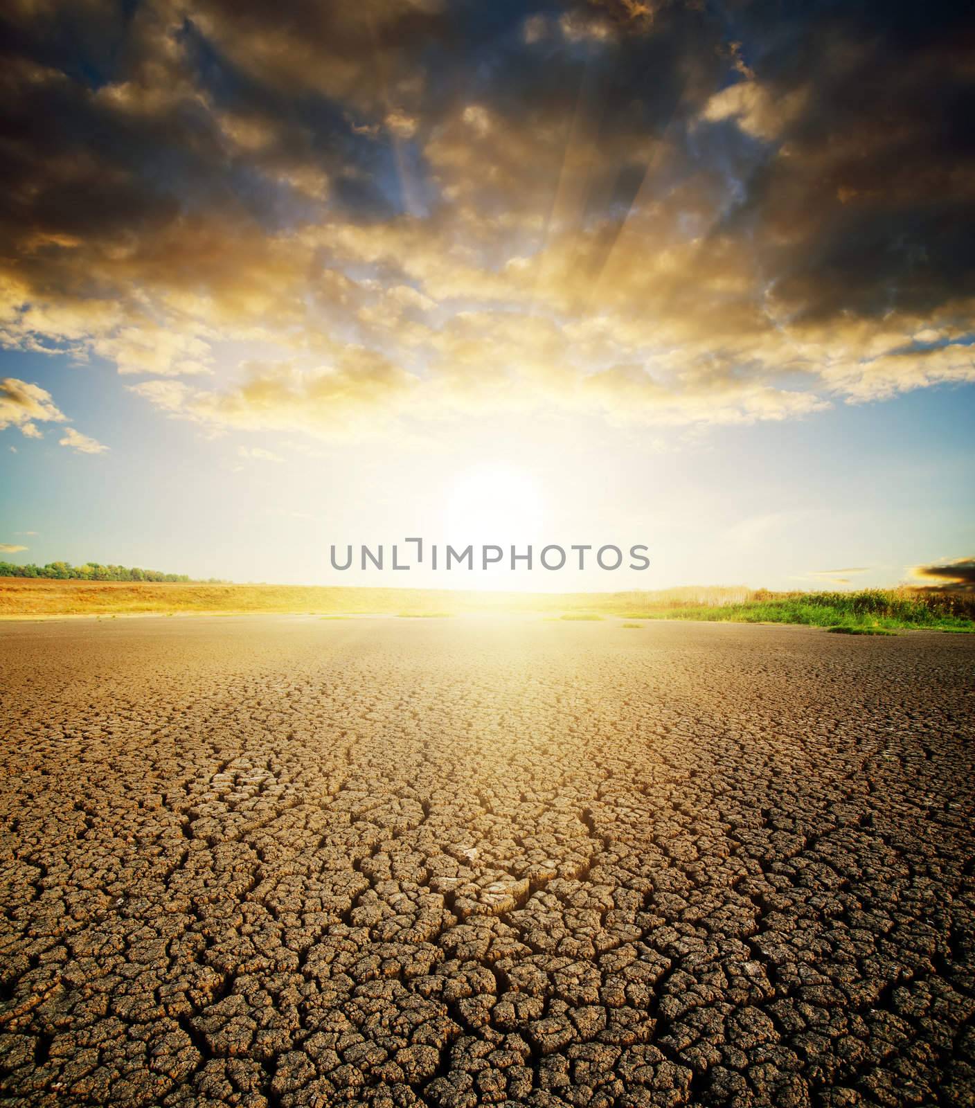 land with dry cracked ground