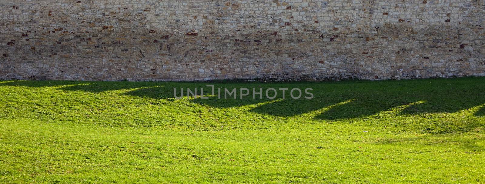 brick wall and green grass by jannyjus