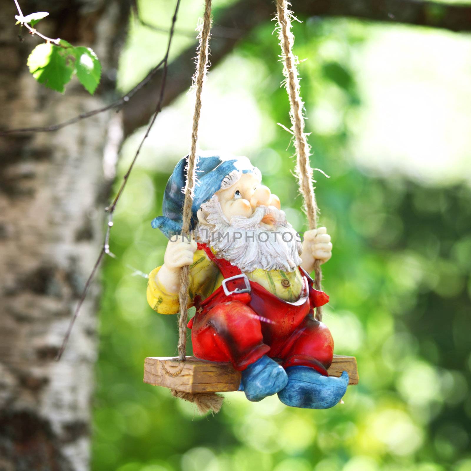 garden dwarf on green nature background