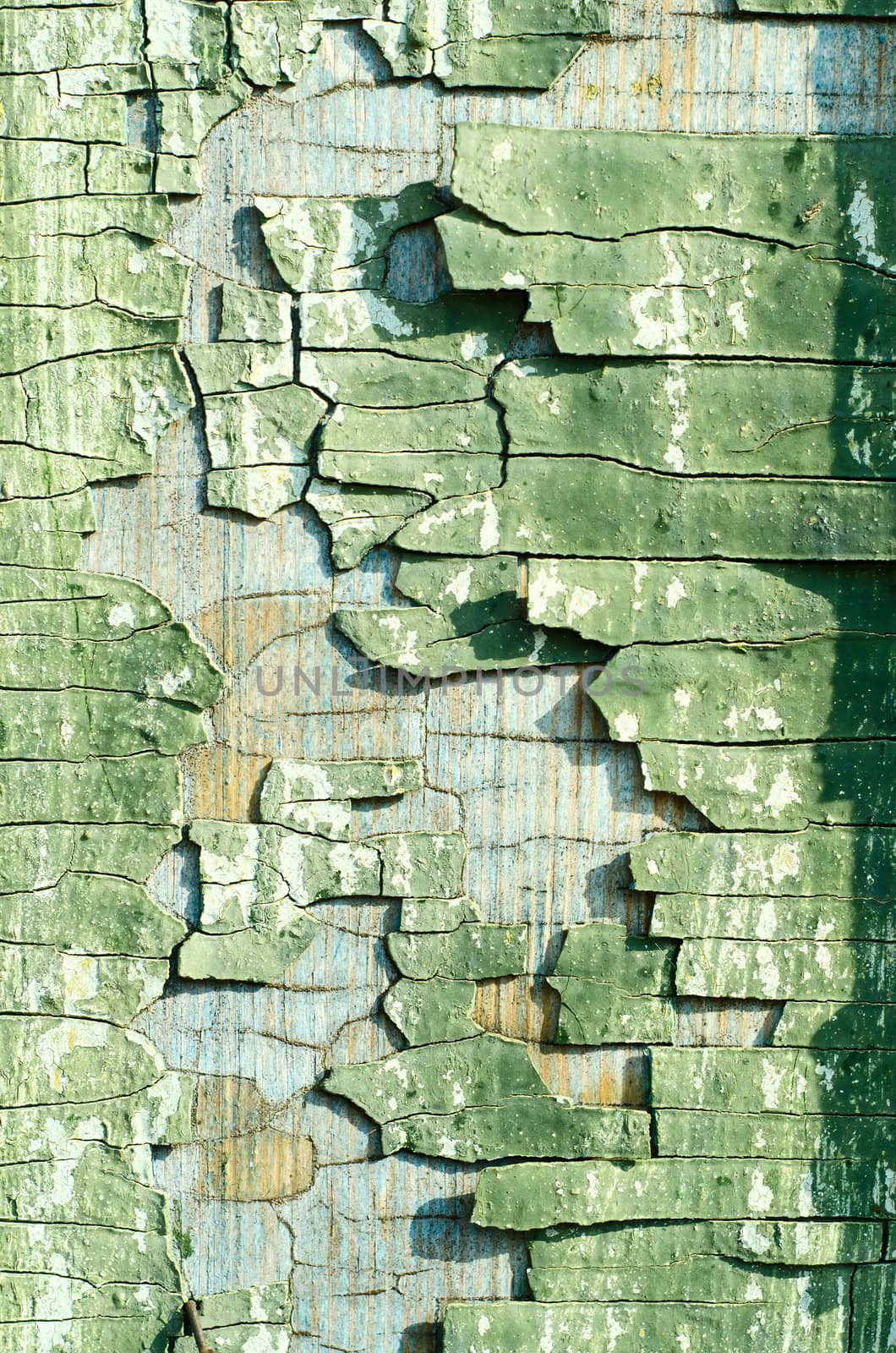 cracked old green paint texture closeup by mycola