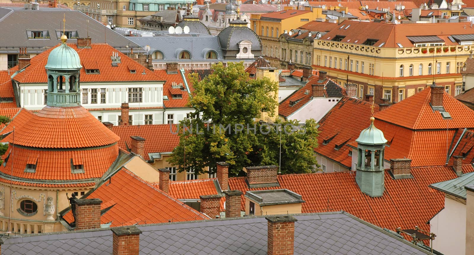 Tree among the roofs in Old Town, Prague, Czech Republic