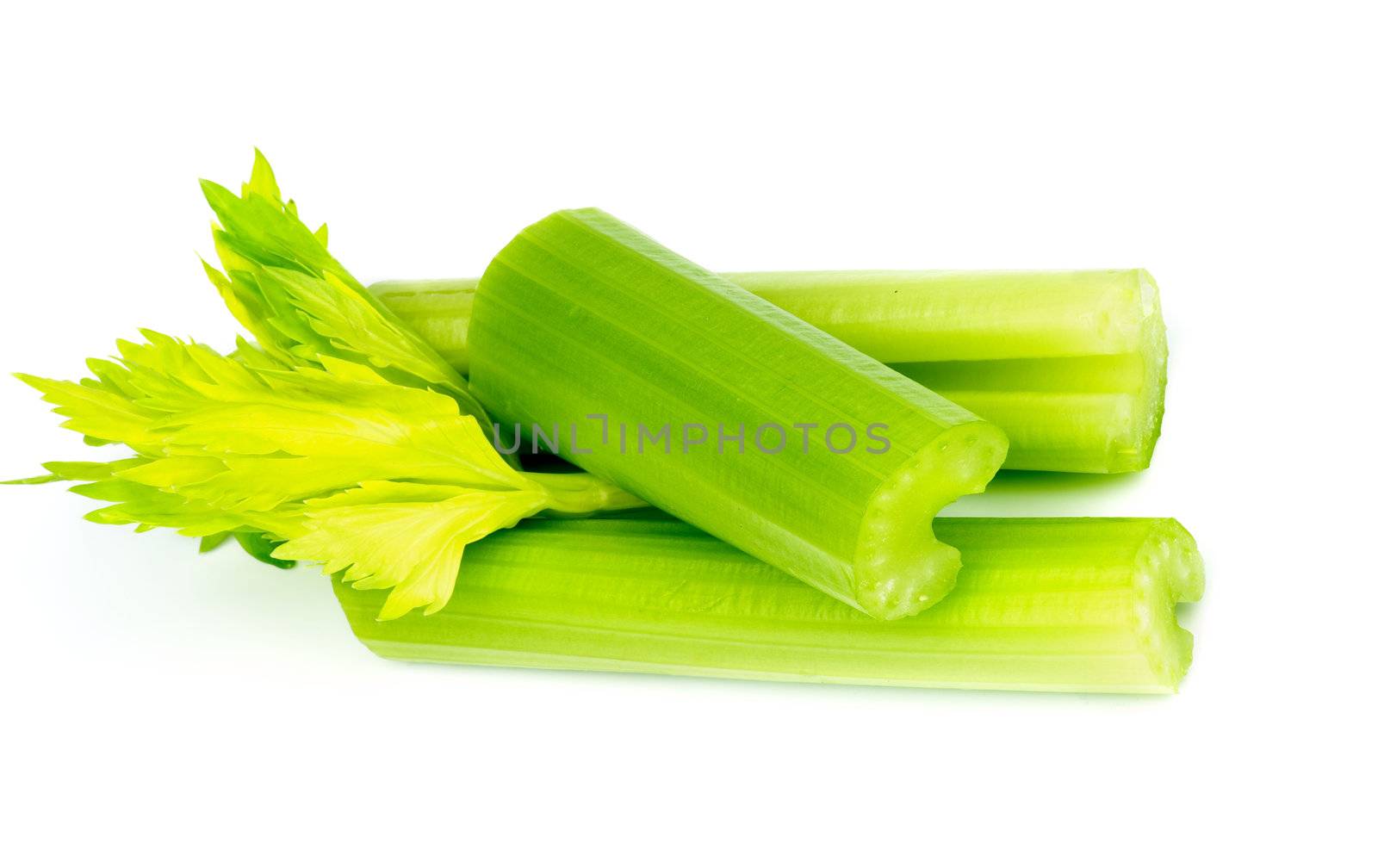 Arrangement of Three Celery Stalks with Leafs isolated on white background