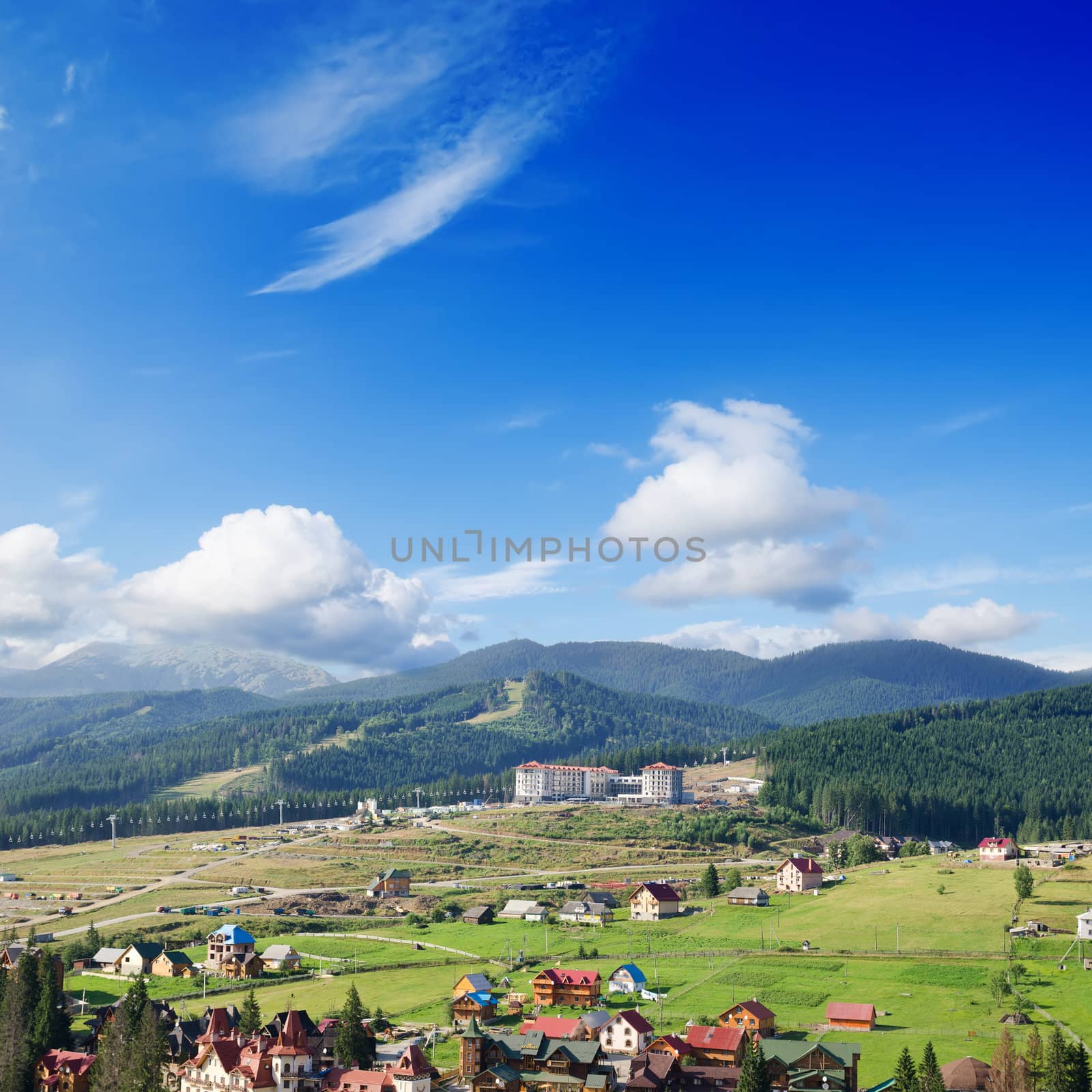 Beautiful green mountain landscape with trees in Carpathians