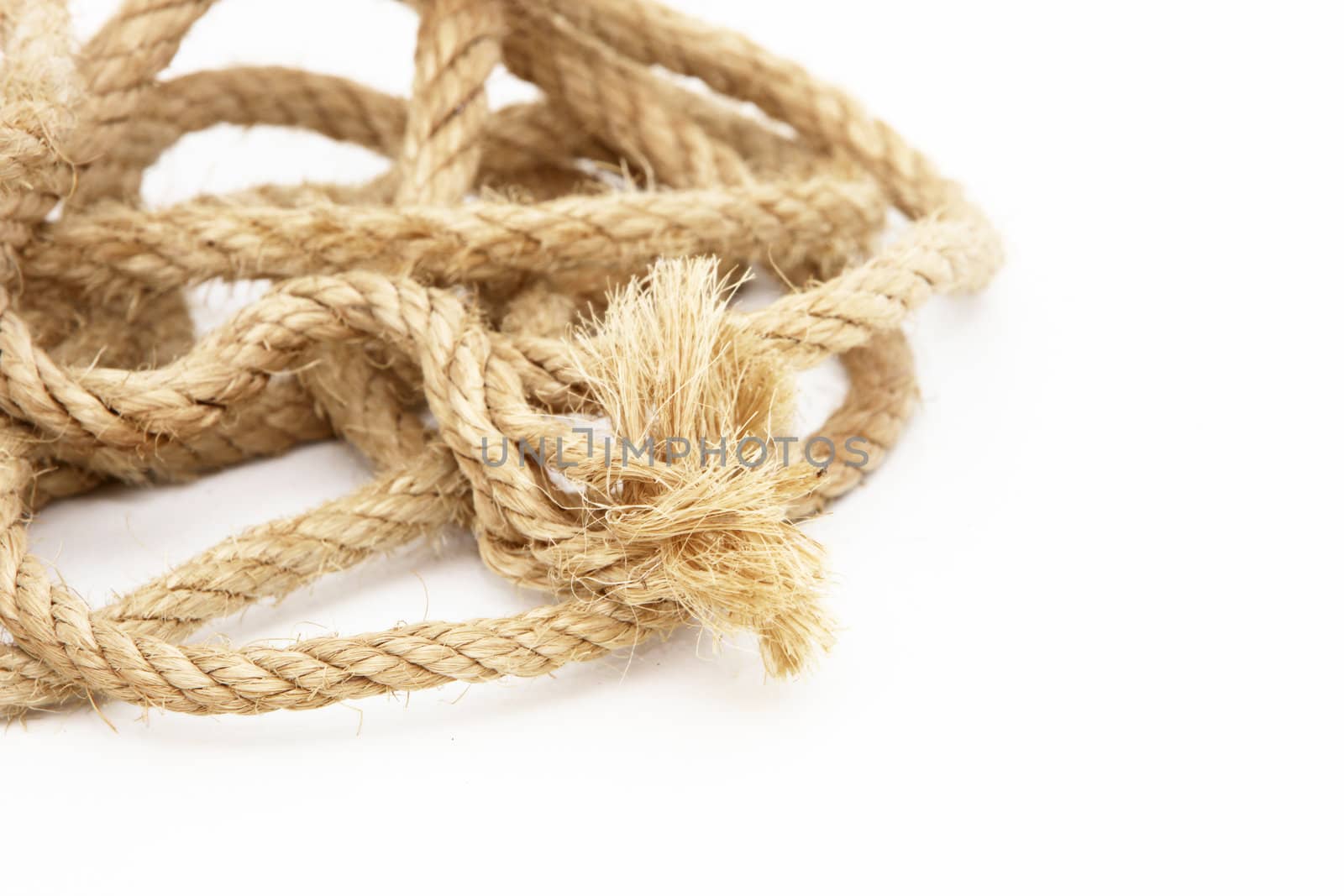 Coiled household rope with a frayed unravelled end and fibre texture on a white background