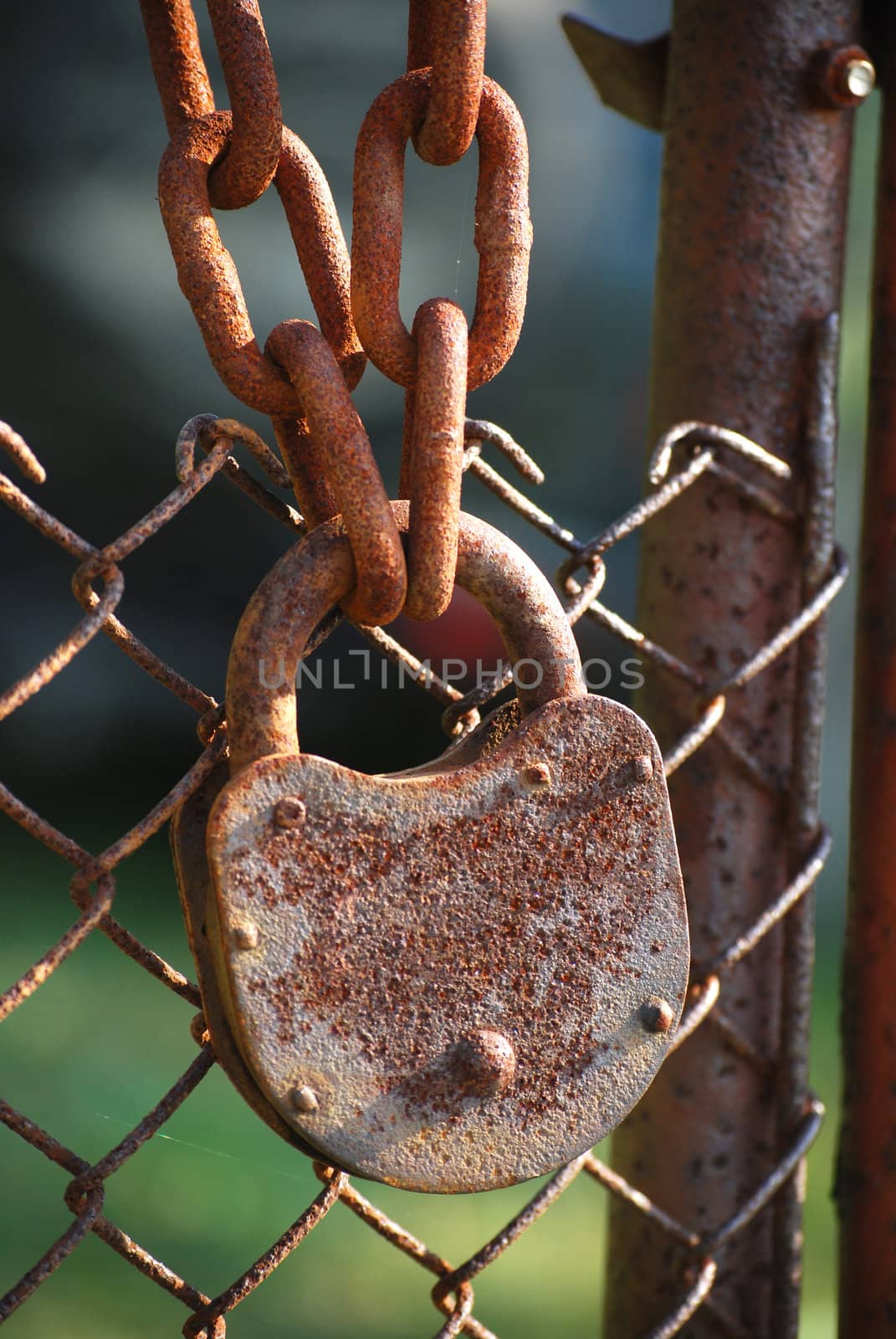 Rusty padlock, iron chain and chain-link iron fence close-up