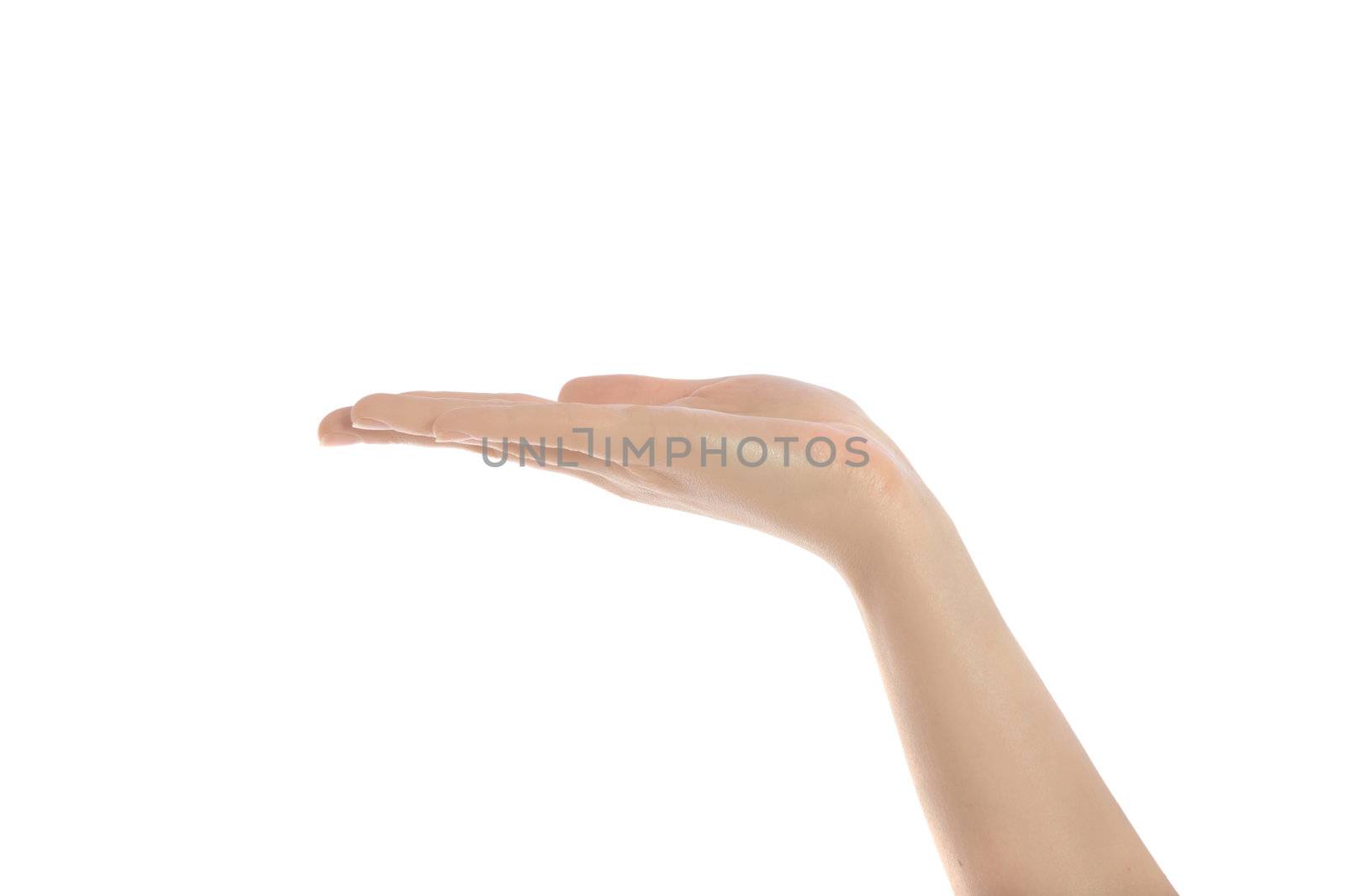 A neat human hand. All isolated on white background.