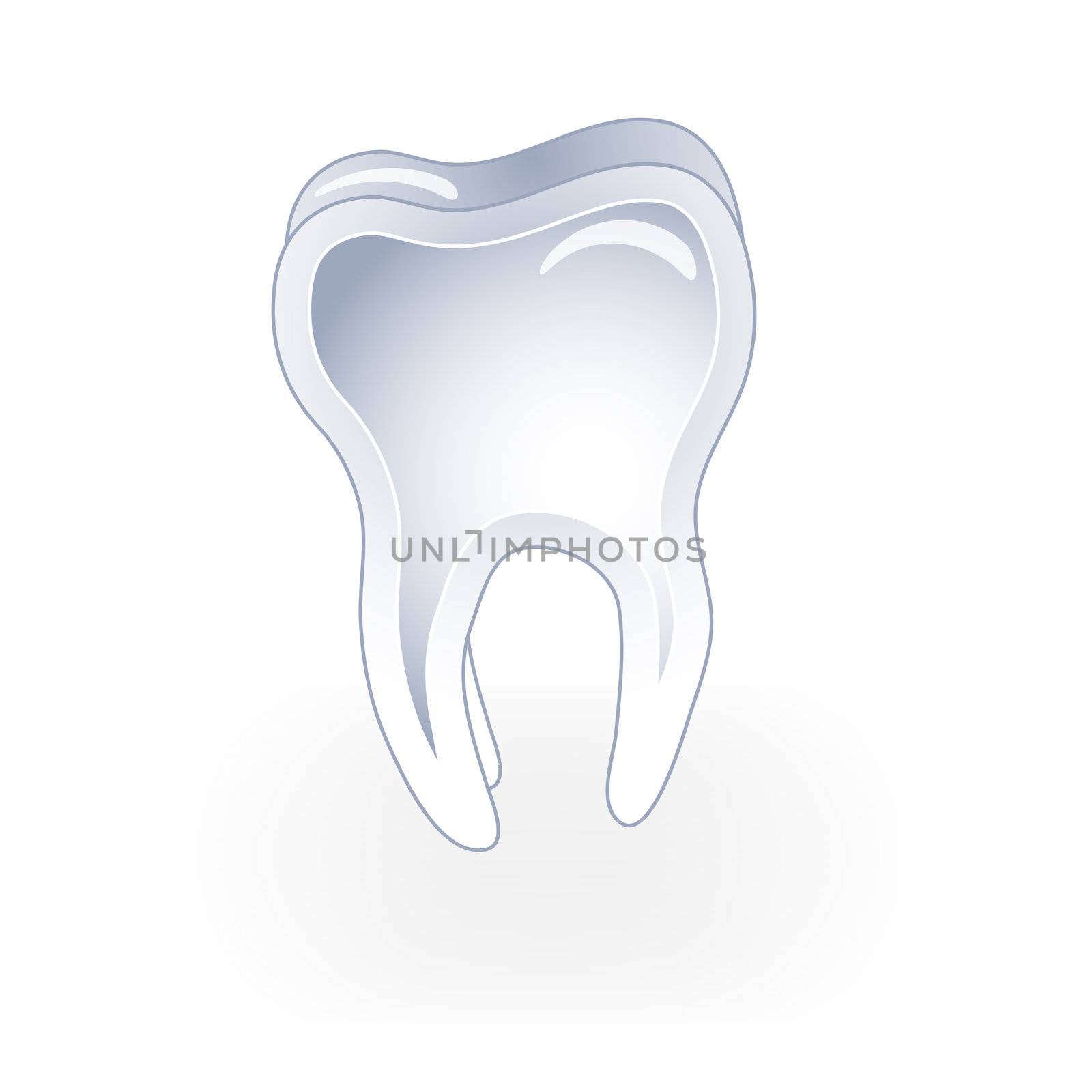 An illustrated tooth. All isolated on white background.