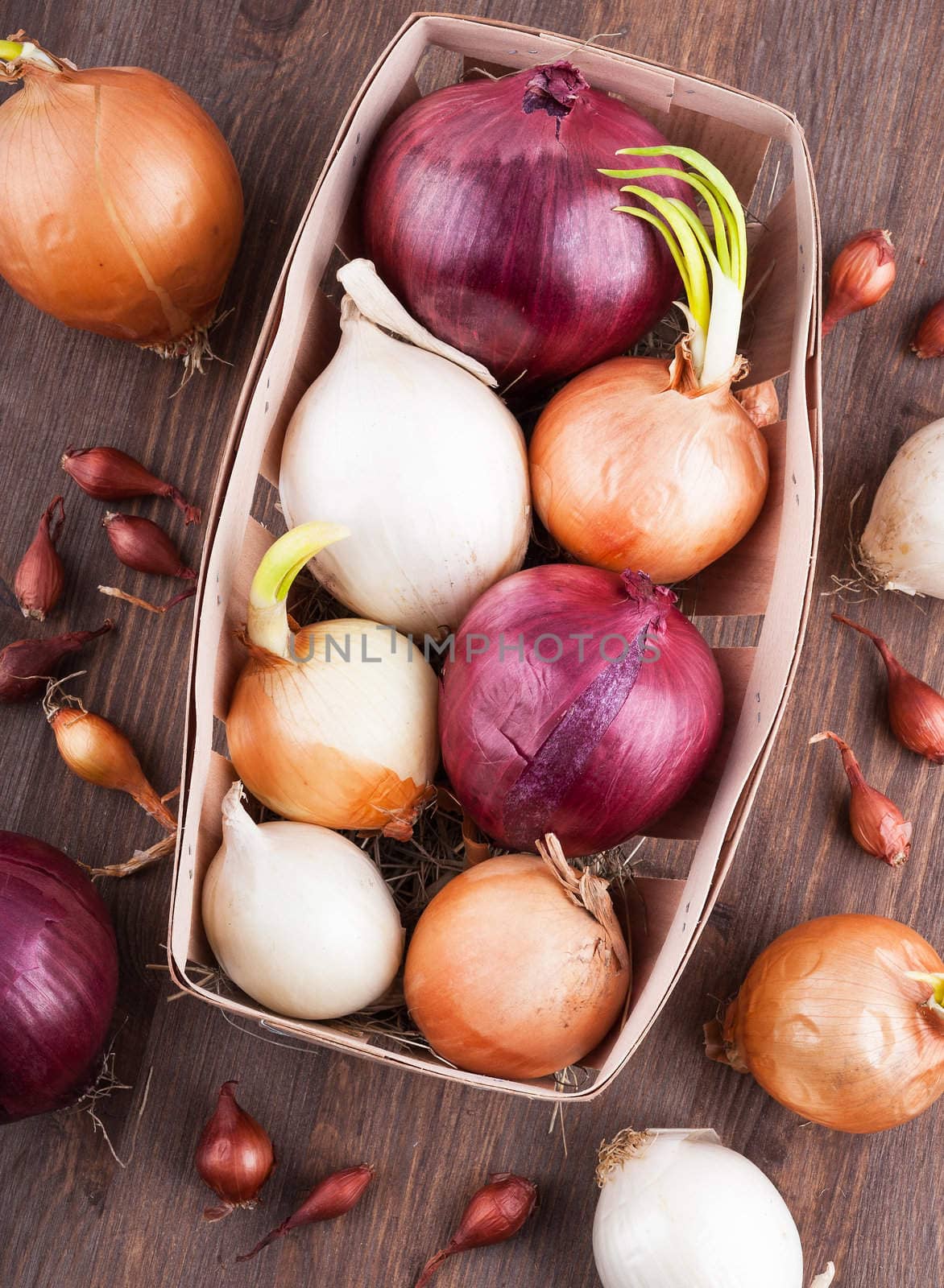 Different varieties of onions on a kitchen board and wooden surface