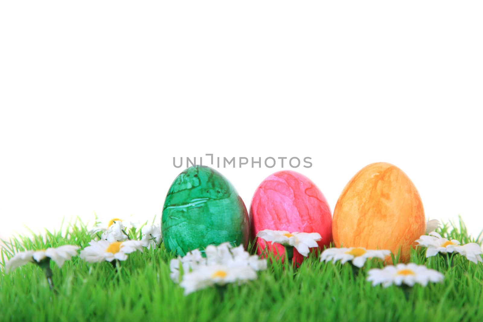 Colored easter eggs on green meadow. All on white background.