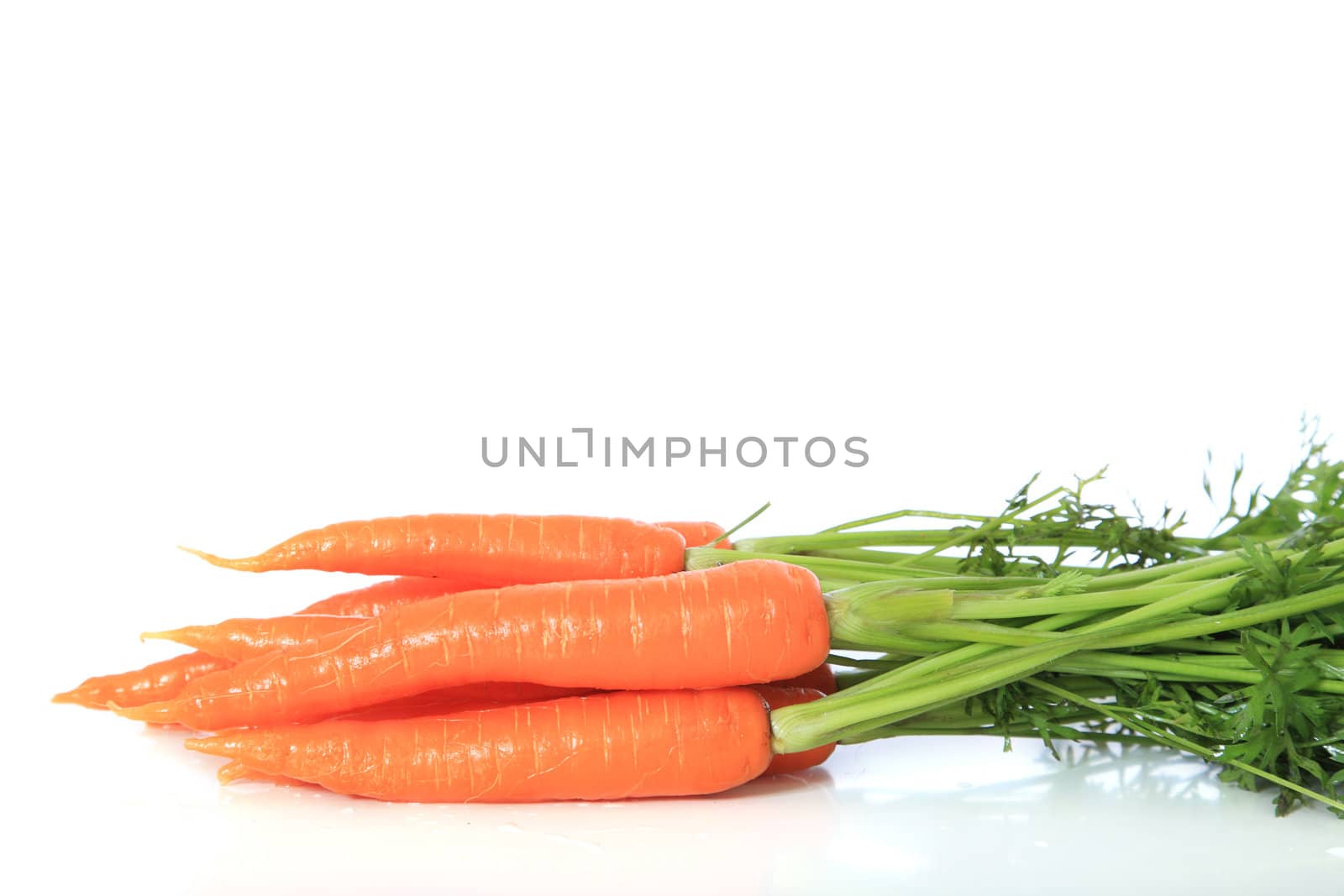 Fresh carrots. All on white background.