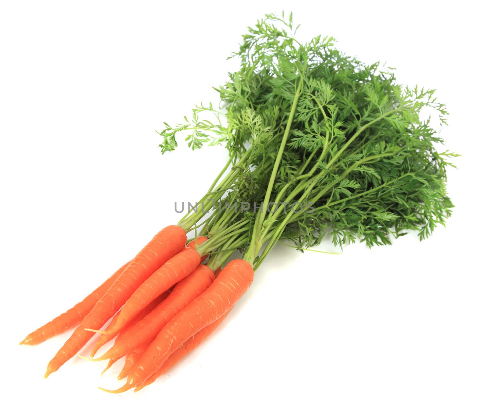 Fresh carrots. All on white background.