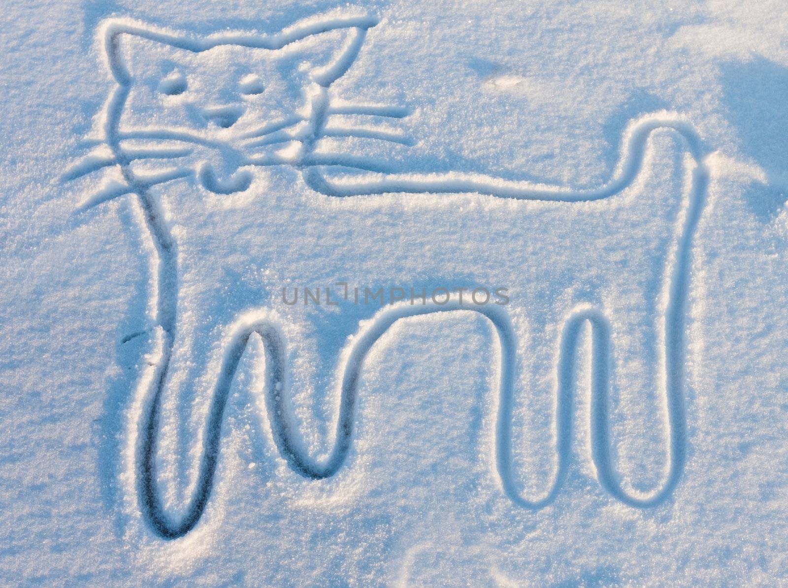 Hand draw of a cat in snow by RTsubin